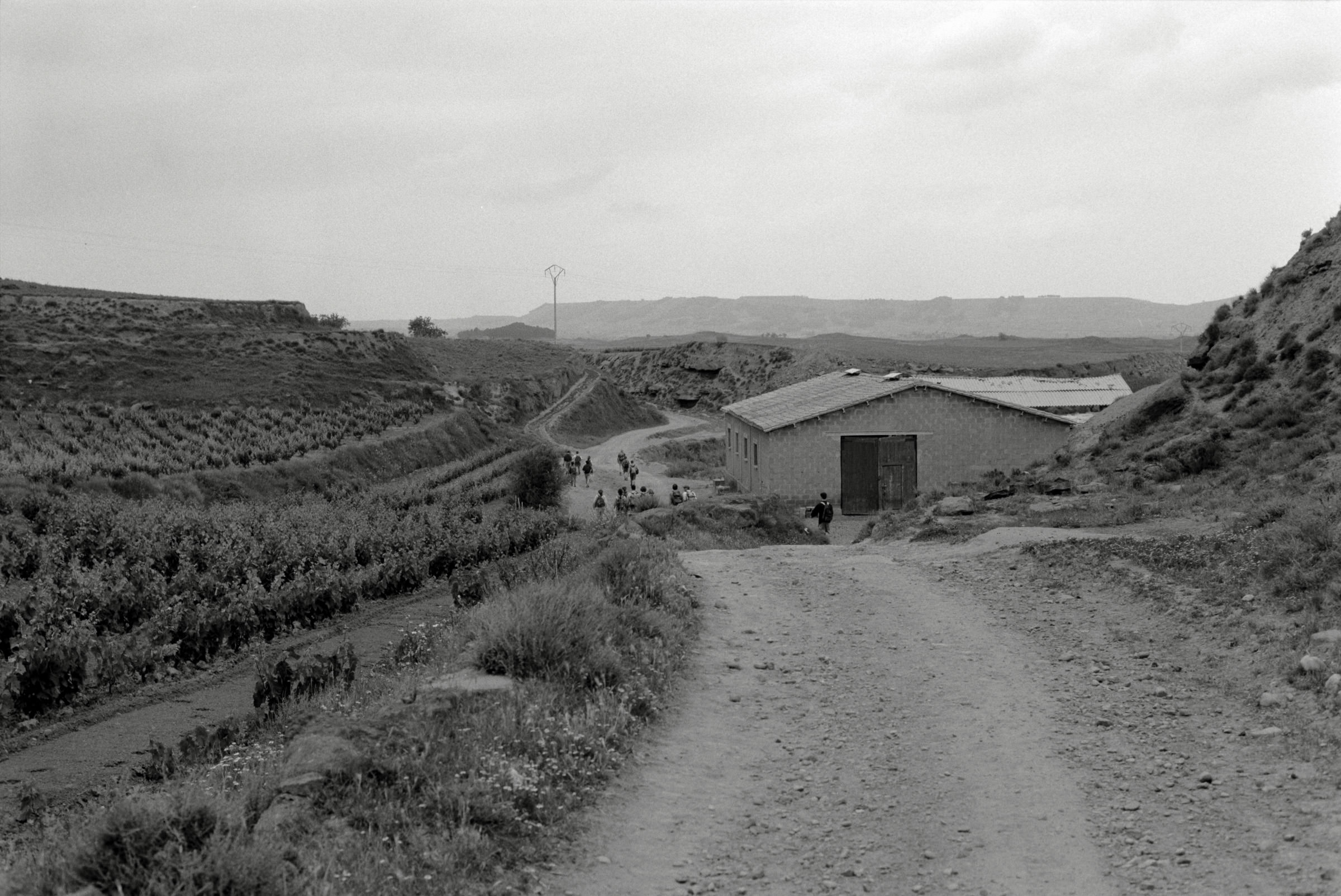 AHP F1995 05 008 sc240826 img15 NLP